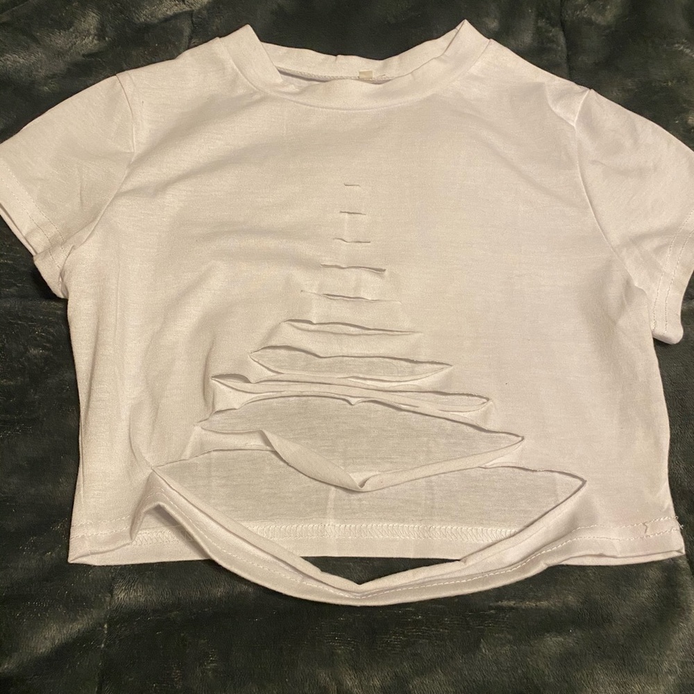 Distressed Crop Top